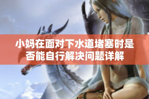 小妈在面对下水道堵塞时是否能自行解决问题详解
