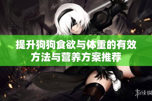 提升狗狗食欲与体重的有效方法与营养方案推荐