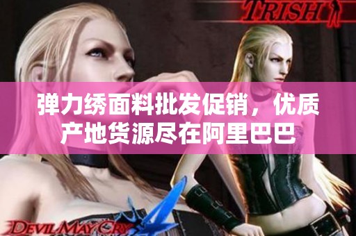 弹力绣面料批发促销，优质产地货源尽在阿里巴巴