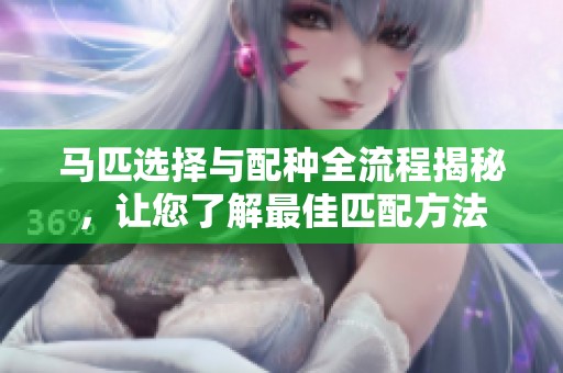马匹选择与配种全流程揭秘，让您了解最佳匹配方法