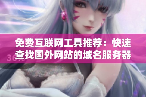 免费互联网工具推荐：快速查找国外网站的域名服务器信息