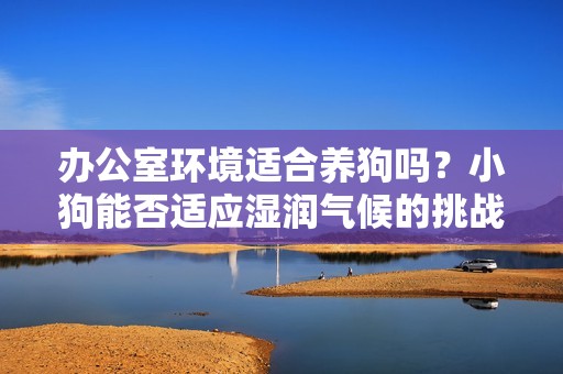 办公室环境适合养狗吗？小狗能否适应湿润气候的挑战