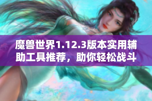 魔兽世界1.12.3版本实用辅助工具推荐，助你轻松战斗