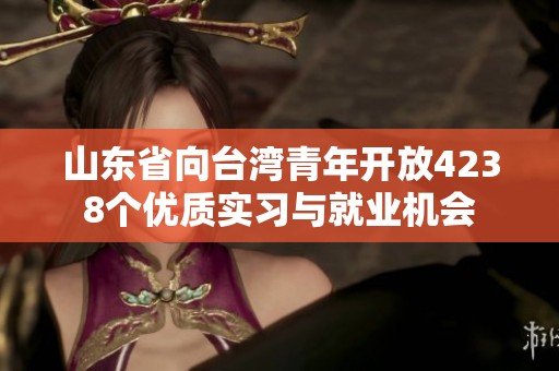 山东省向台湾青年开放4238个优质实习与就业机会