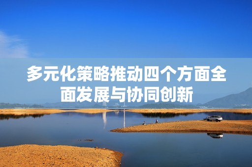 多元化策略推动四个方面全面发展与协同创新