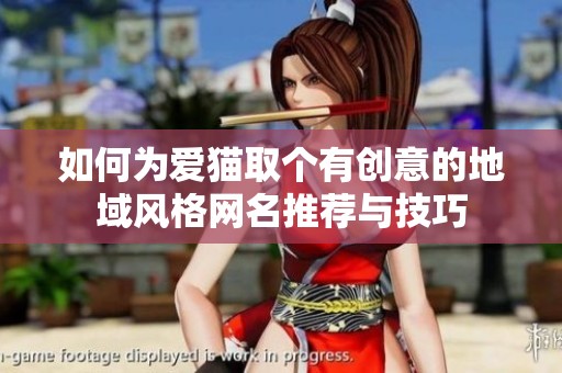 如何为爱猫取个有创意的地域风格网名推荐与技巧