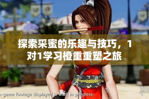 探索采蜜的乐趣与技巧，1对1学习橙重重塑之旅
