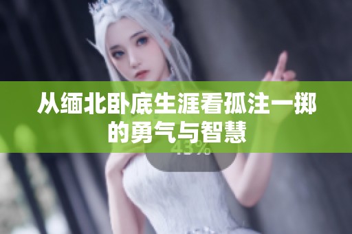 从缅北卧底生涯看孤注一掷的勇气与智慧