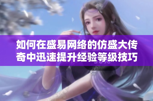 如何在盛易网络的仿盛大传奇中迅速提升经验等级技巧分享
