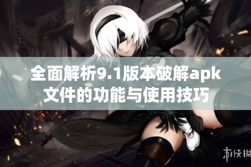 全面解析9.1版本破解apk文件的功能与使用技巧