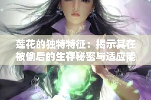 莲花的独特特征：揭示其在被偷后的生存秘密与适应能力