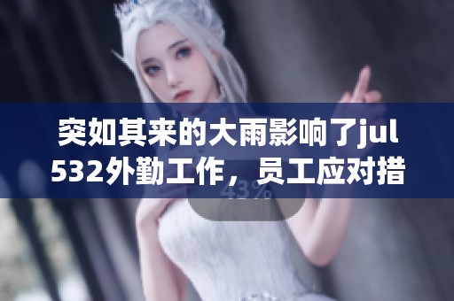 突如其来的大雨影响了jul532外勤工作，员工应对措施亟需完善