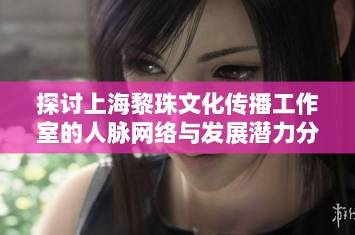 探讨上海黎珠文化传播工作室的人脉网络与发展潜力分析