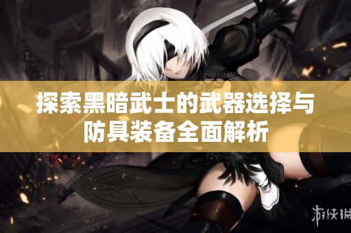 探索黑暗武士的武器选择与防具装备全面解析