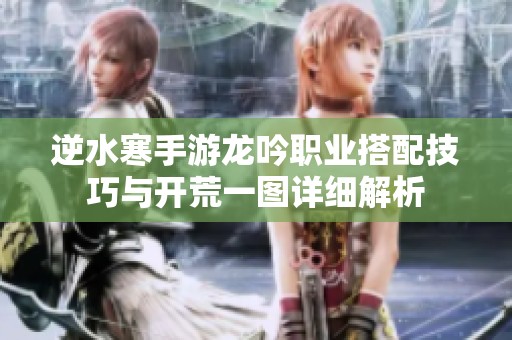 逆水寒手游龙吟职业搭配技巧与开荒一图详细解析