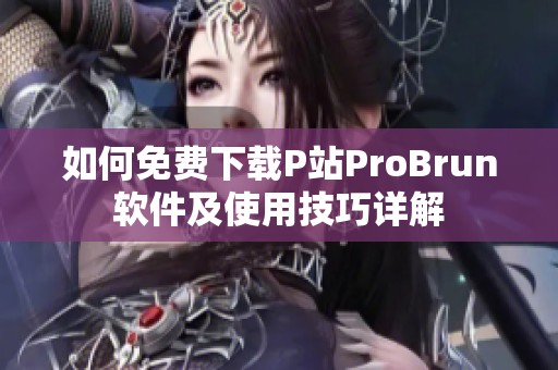 如何免费下载P站ProBrun软件及使用技巧详解