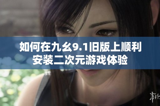 如何在九幺9.1旧版上顺利安装二次元游戏体验