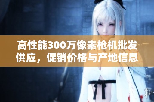 高性能300万像素枪机批发供应，促销价格与产地信息详解