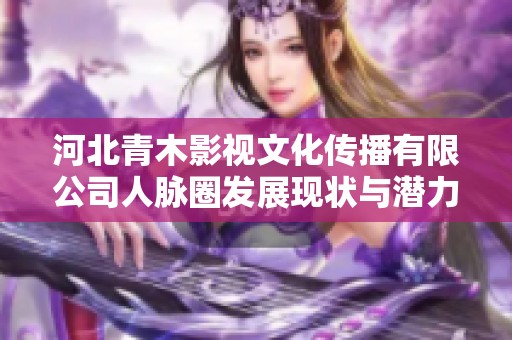 河北青木影视文化传播有限公司人脉圈发展现状与潜力分析