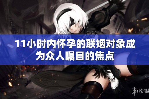 11小时内怀孕的联姻对象成为众人瞩目的焦点