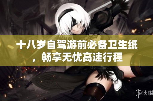 十八岁自驾游前必备卫生纸，畅享无忧高速行程