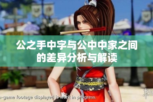 公之手中字与公中中家之间的差异分析与解读