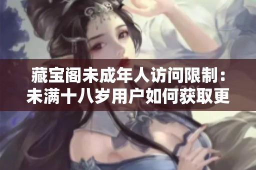 藏宝阁未成年人访问限制：未满十八岁用户如何获取更多信息