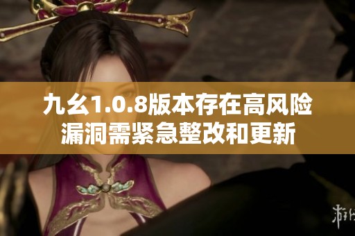九幺1.0.8版本存在高风险漏洞需紧急整改和更新