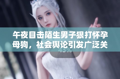 午夜目击陌生男子狠打怀孕母狗，社会舆论引发广泛关注