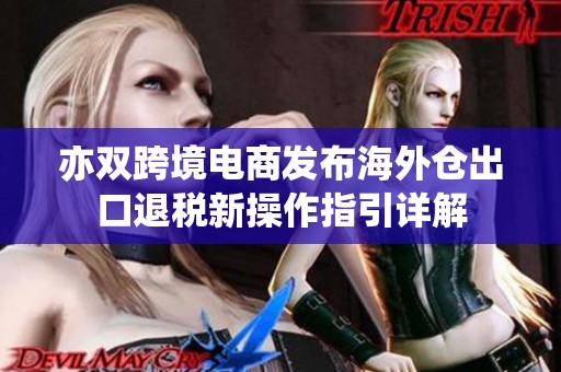 亦双跨境电商发布海外仓出口退税新操作指引详解