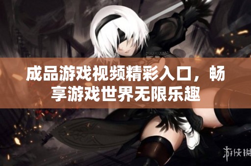 成品游戏视频精彩入口，畅享游戏世界无限乐趣
