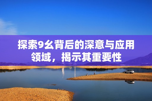 探索9幺背后的深意与应用领域，揭示其重要性