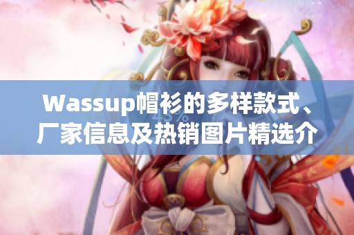 Wassup帽衫的多样款式、厂家信息及热销图片精选介绍