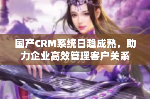 国产CRM系统日趋成熟，助力企业高效管理客户关系