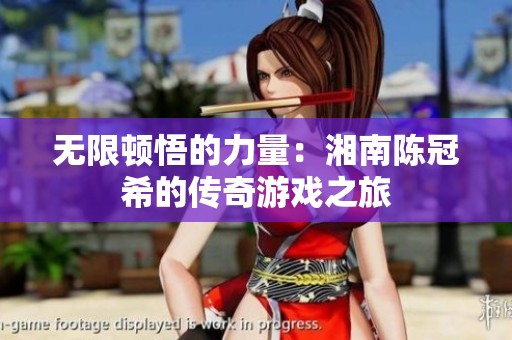 无限顿悟的力量：湘南陈冠希的传奇游戏之旅