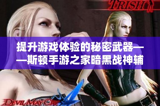 提升游戏体验的秘密武器——斯顿手游之家暗黑战神辅助攻略