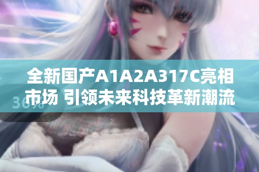 全新国产A1A2A317C亮相市场 引领未来科技革新潮流