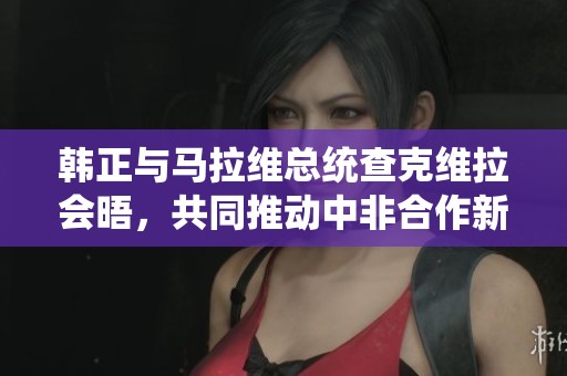 韩正与马拉维总统查克维拉会晤，共同推动中非合作新进展
