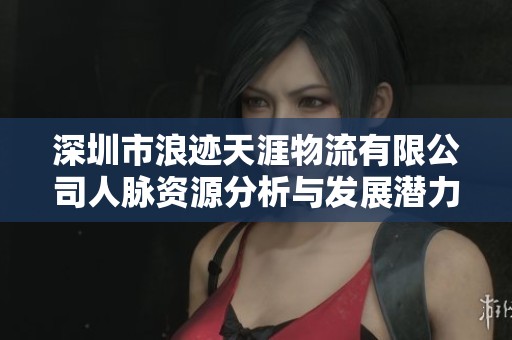 深圳市浪迹天涯物流有限公司人脉资源分析与发展潜力探讨