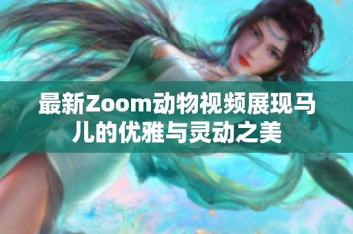 最新Zoom动物视频展现马儿的优雅与灵动之美
