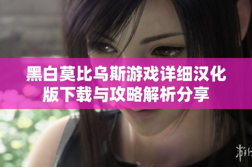 黑白莫比乌斯游戏详细汉化版下载与攻略解析分享