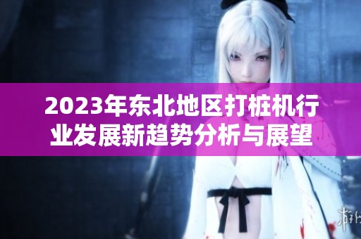 2023年东北地区打桩机行业发展新趋势分析与展望