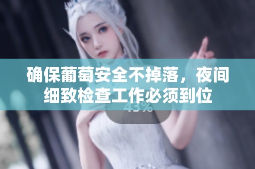 确保葡萄安全不掉落，夜间细致检查工作必须到位