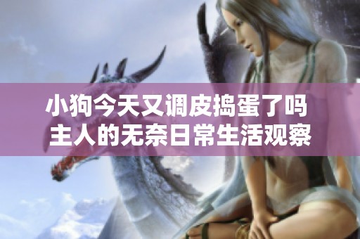 小狗今天又调皮捣蛋了吗 主人的无奈日常生活观察