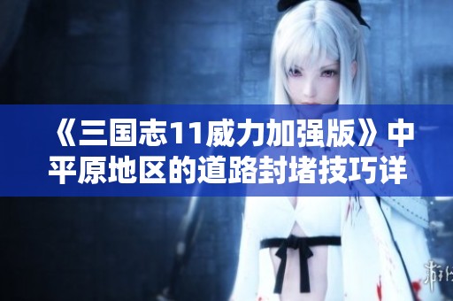 《三国志11威力加强版》中平原地区的道路封堵技巧详解