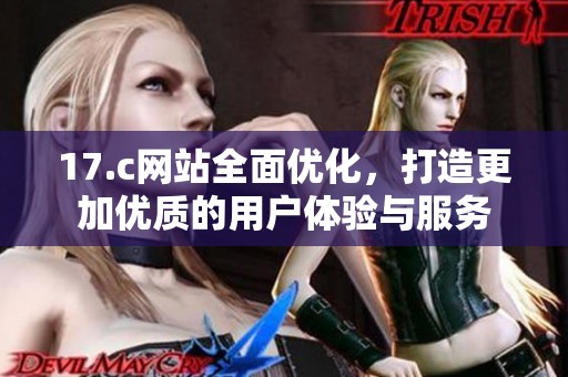 17.c网站全面优化，打造更加优质的用户体验与服务