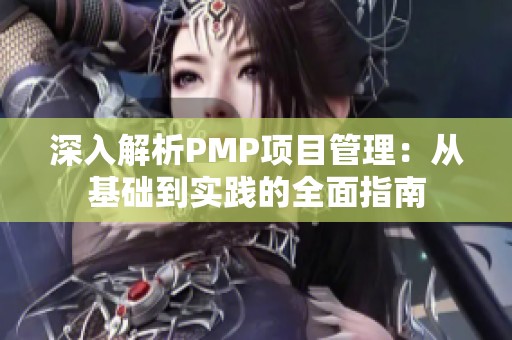 深入解析PMP项目管理：从基础到实践的全面指南