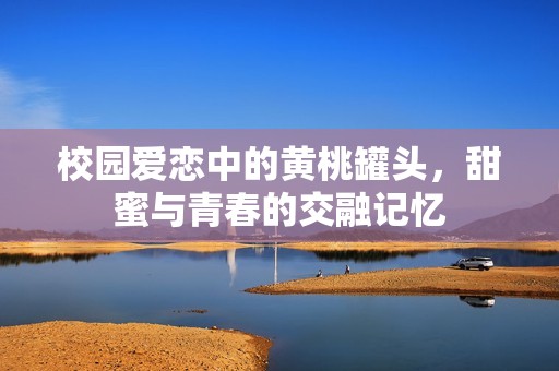 校园爱恋中的黄桃罐头，甜蜜与青春的交融记忆