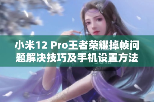 小米12 Pro王者荣耀掉帧问题解决技巧及手机设置方法