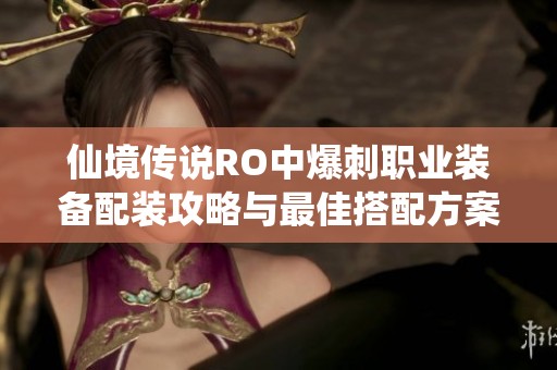 仙境传说RO中爆刺职业装备配装攻略与最佳搭配方案解析